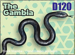 Stamp, Snake, Gambia,  , Animals (Fauna), Reptiles, Snakes