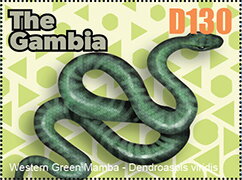 Snake
