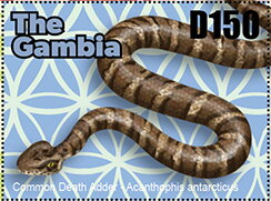 Stamp, Snake, Gambia,  , Animals (Fauna), Reptiles, Snakes