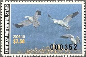 Stamp, Snow goose (Anser caerulescens), Kentucky (KY),  , Animals (Fauna), Birds, Geese, Hunting
