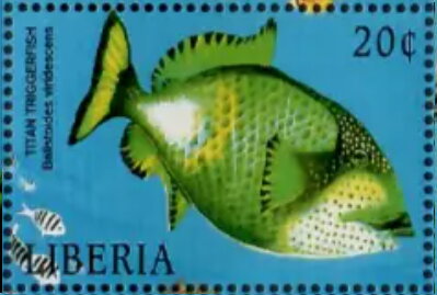 Balistoides viridescens