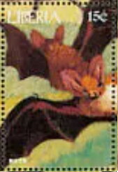 Bats