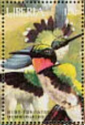 Humminbirds