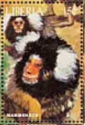 Monkeys