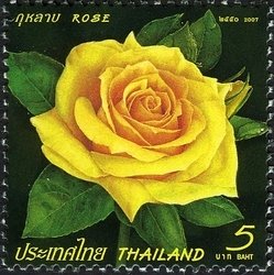 Flora (Roses)