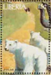 Polar Bears