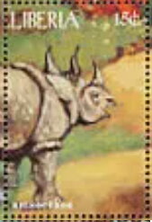 Rhinocereo