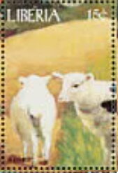 Sheeps