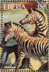 Zebras