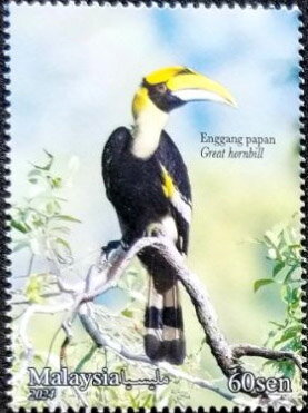Stamp, Great Hornbill (Buceros bicornis), Malaysia,  , Animals (Fauna), Birds