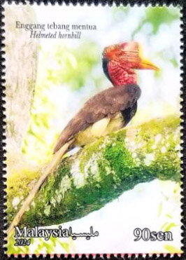 Stamp, Helmeted Hornbill (Rhinoplax vigil), Malaysia,  , Animals (Fauna), Birds