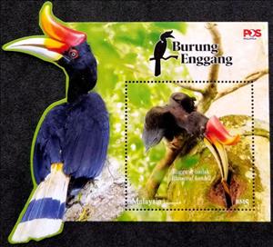 Souvenir Sheet, Rhinoceros Hornbill (Buceros rhinoceros), Malaysia,  , Birds