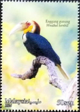 Stamp, Wreathed Hornbill (Rhyticeros undulatus), Malaysia,  , Animals (Fauna), Birds