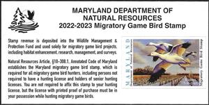 Souvenir Sheet, Ducks, Maryland (MD),  , Animals (Fauna), Birds, Ducks, Hunting