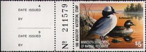 Stamp with Attached Label, Bufflehead (Bucephala albeola), Minnesota (MN),  , Animals (Fauna), Birds, Ducks, Hunting