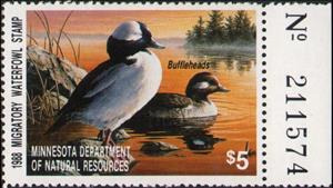 Stamp with Collectible Margin, Bufflehead (Bucephala albeola), Minnesota (MN),  , Animals (Fauna), Birds, Ducks, Hunting