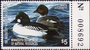 Stamp with Collectible Margin, Common goldeneye (Bucephala clangula), Minnesota (MN),  , Animals (Fauna), Birds, Ducks, Hunting