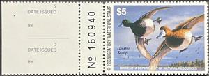 Stamp with Attached Label, Greater scaup (Aythya marila), Minnesota (MN),  , Animals (Fauna), Birds, Ducks, Hunting