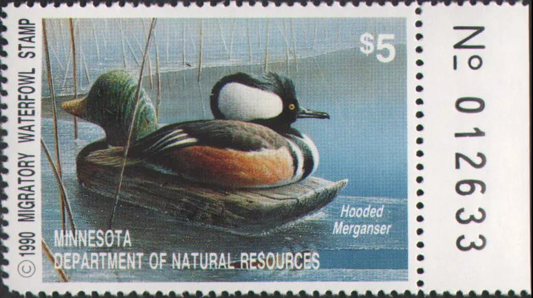 Hooded merganser (Lophodytes cucullatus)