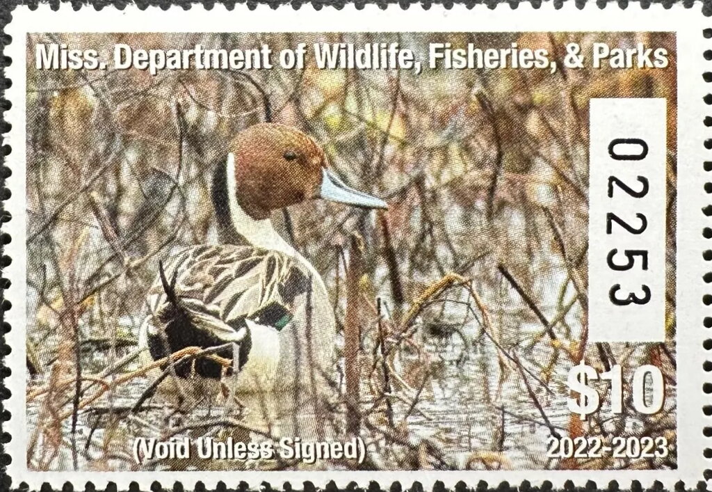 Ducks