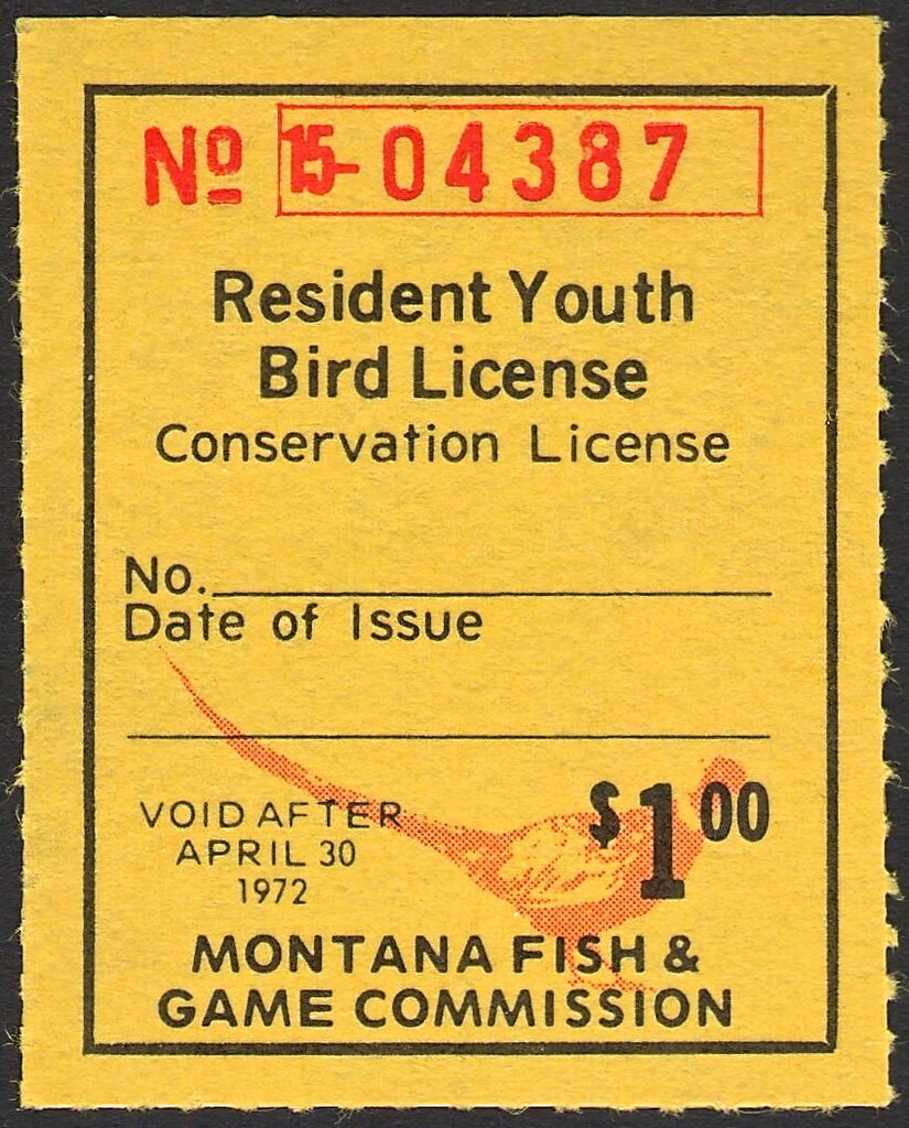 Pheasant