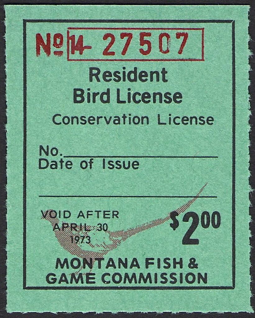 Pheasant