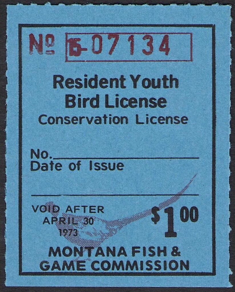 Pheasant