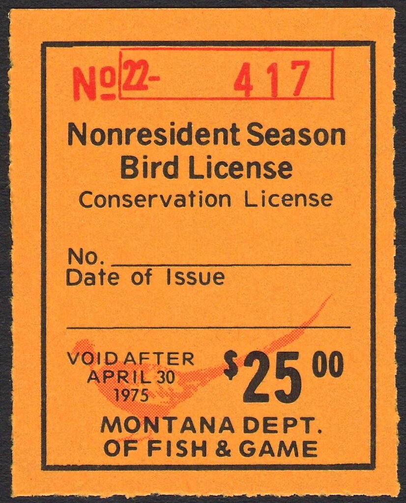 Pheasant