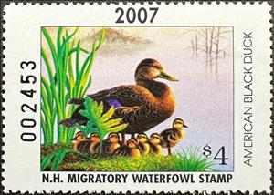 Stamp, American black duck (Anas rubripes), New Hampshire (NH),  , Animals (Fauna), Birds, Ducks, Hunting