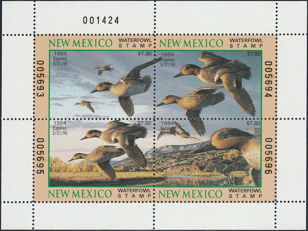 Green-winged teal (Anas carolinensis)