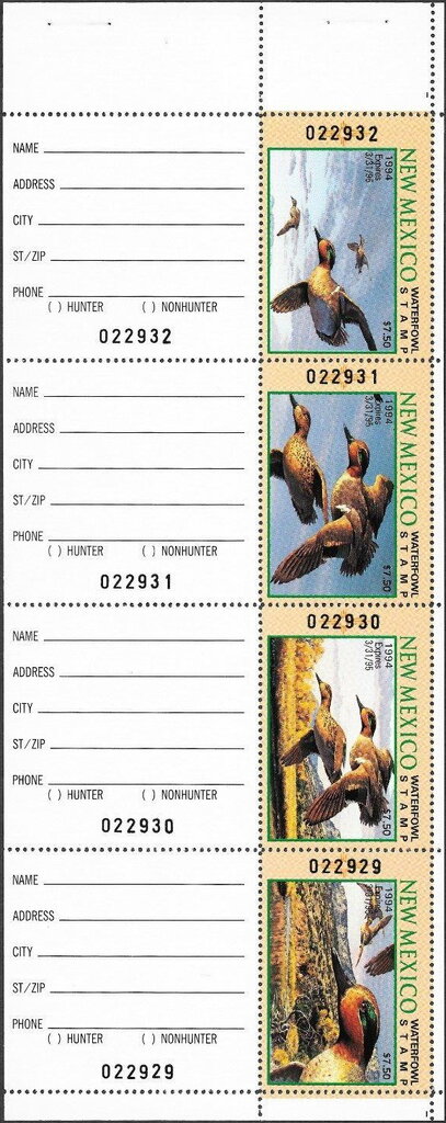Green-winged teal (Anas carolinensis)