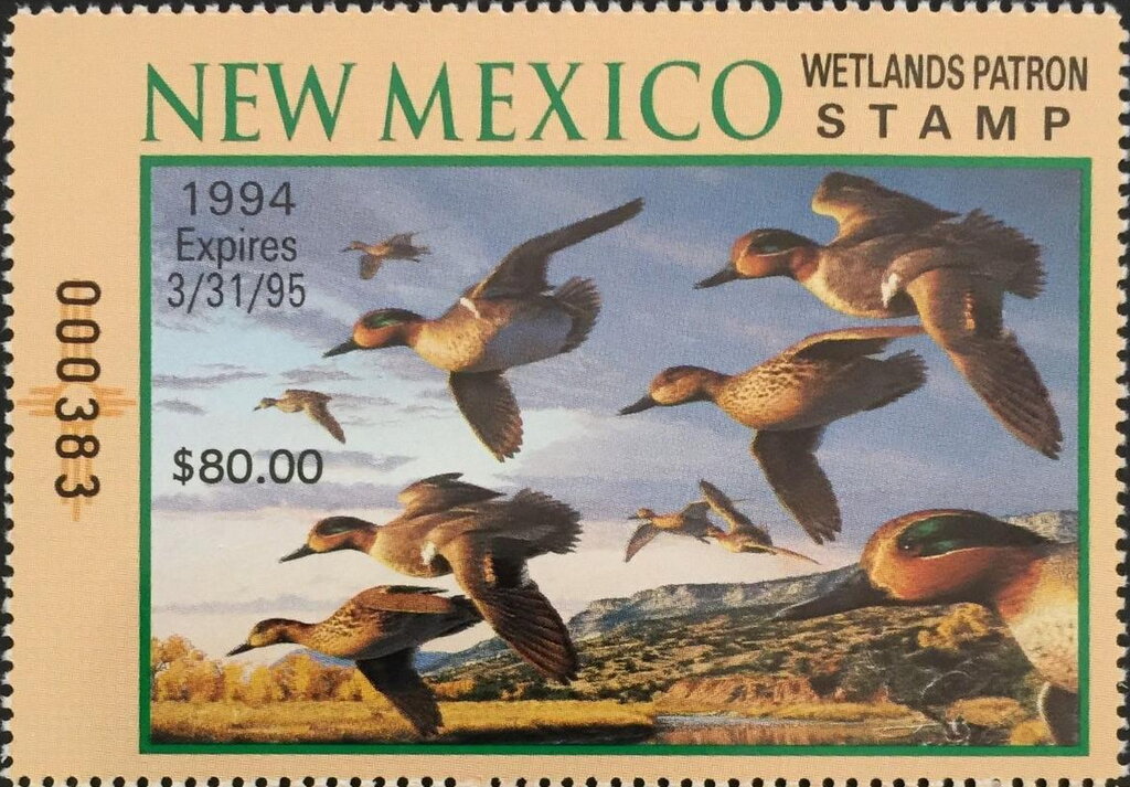 Green-winged teal (Anas carolinensis)