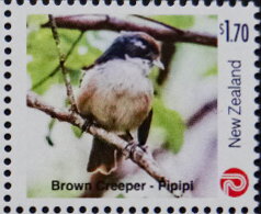 Brown Creeper (Mohoua novaeseelandiae)