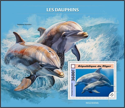 Tursiops truncatus