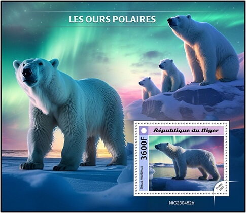 Ursus maritimus