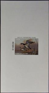 Souvenir Sheet, Ducks, North Carolina (NC),  , Animals (Fauna), Birds, Ducks, Hunting