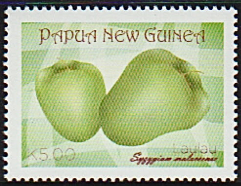 Malay Apple (Syzygium malaccense)