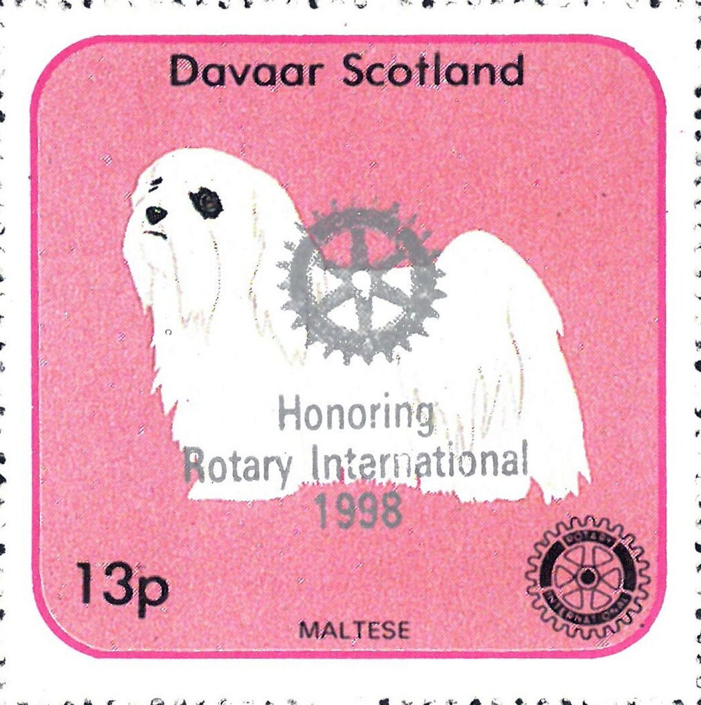 Dogs - Honoring Rotary International