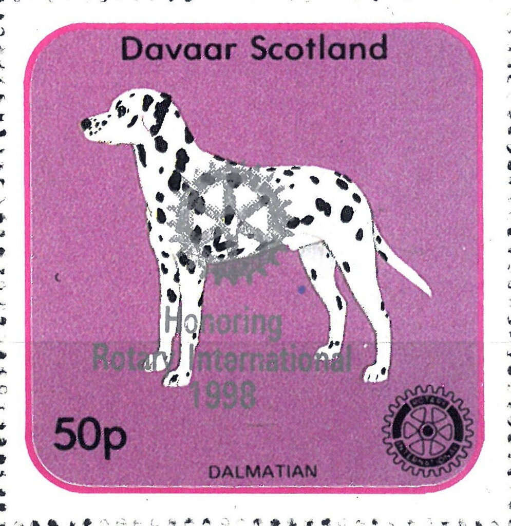 Dogs - Honoring Rotary International