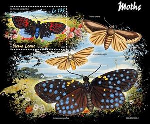 Souvenir Sheet, Amesia sanguiflua, Sierra Leone,  , Butterflies and Moths, Insects