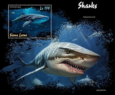 Rhincodon typus