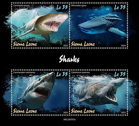 Sharks