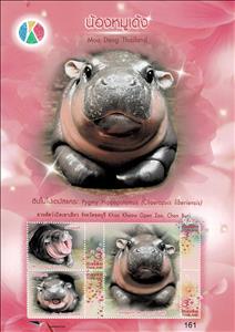 Mini Sheet, Baby Hippo Moo Deng, Thailand,  , Animals (Fauna), Hippopotamuses, Mammals, Zoos
