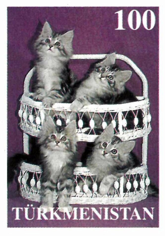 Cats