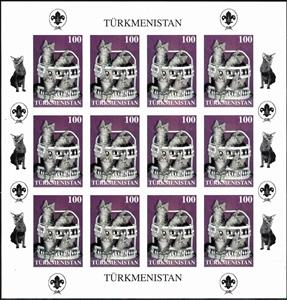 Full Pane, Cats, Turkmenistan,  , Animals (Fauna), Cats, Mammals