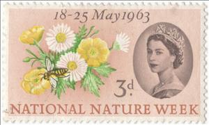 Stamp, Buttercup, Common Daisy, Honey Bee (Apis sp.) - Phosphor, United Kingdom of Great Britain & Northern Ireland,  , Animals (Fauna), Bees, Environment Protection, Flowers, Insects, Plants (Flora), Special Occasions