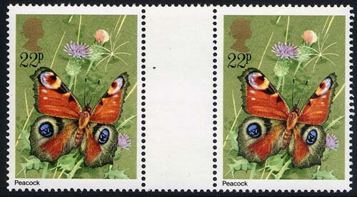 European peacock (Aglais io)