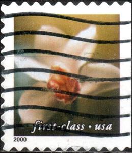 Stamp, Tan Flower - Cymbidium Orchid, United States of America,  , Flowers, Orchids, Plants (Flora)