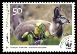 Stamp, Himalayan Musk Deer (Moschus leucogaster), Afghanistan,  , WWF, Animals (Fauna)