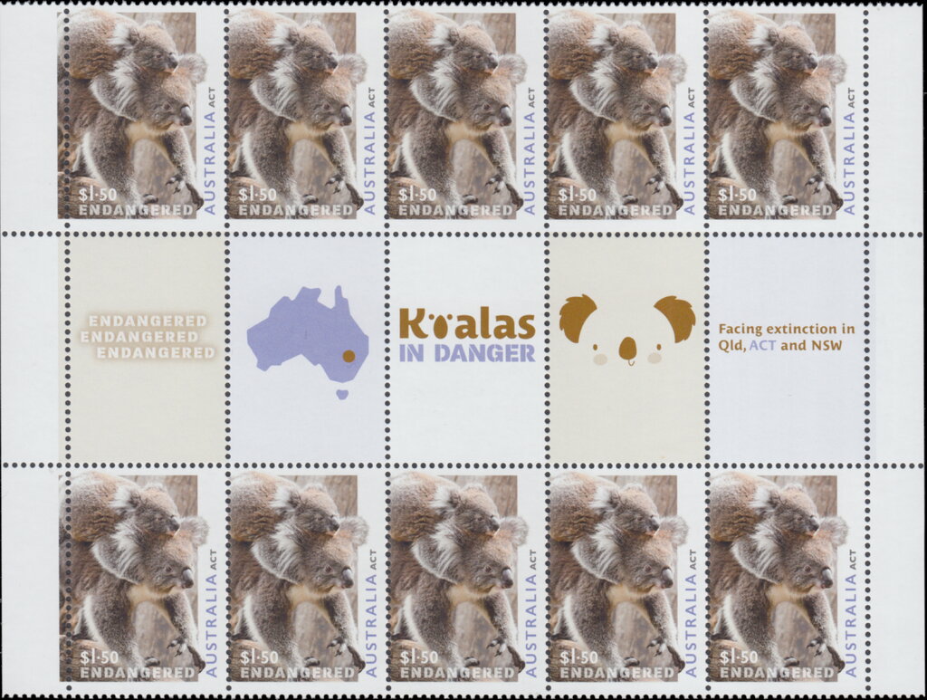 Koala and Joey